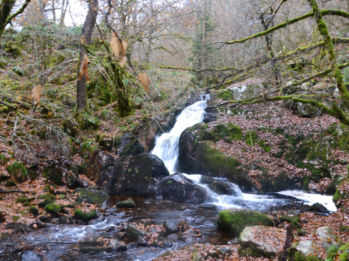 Ascension du haut folins et des gorges de la&nbsp;canche