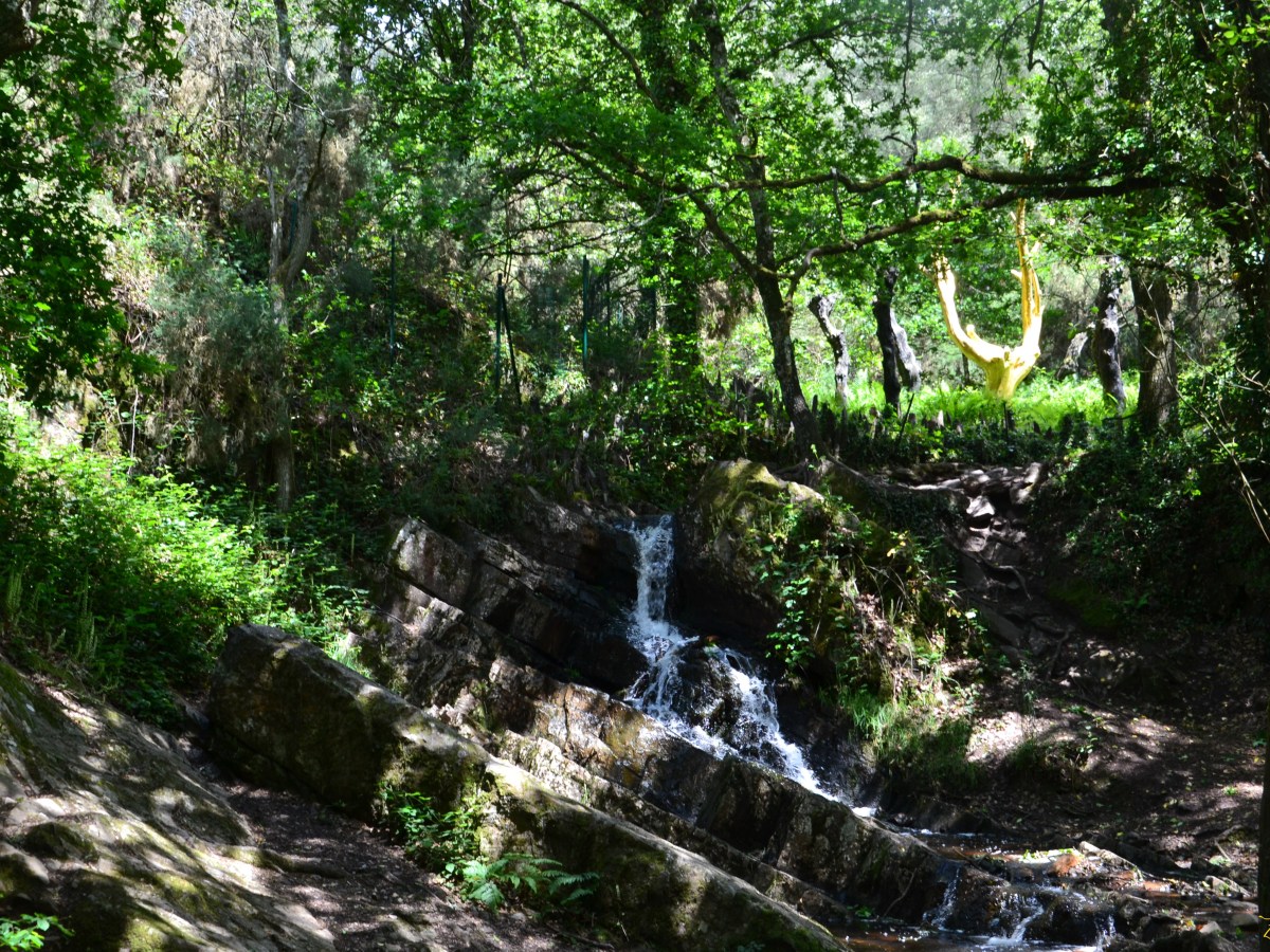 La forêt magique de&nbsp;Brocéliande