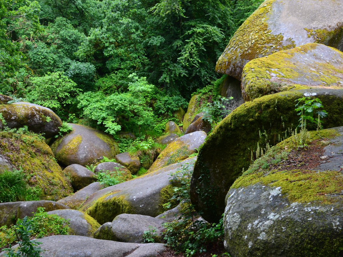 Les mont d&rsquo;Arrée et la mystique forêt de&nbsp;Huelgoat