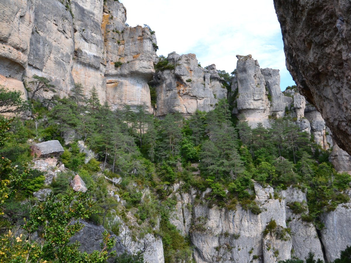 Le plateaux CausseMéjean et les Gorges de la&nbsp;Jonte